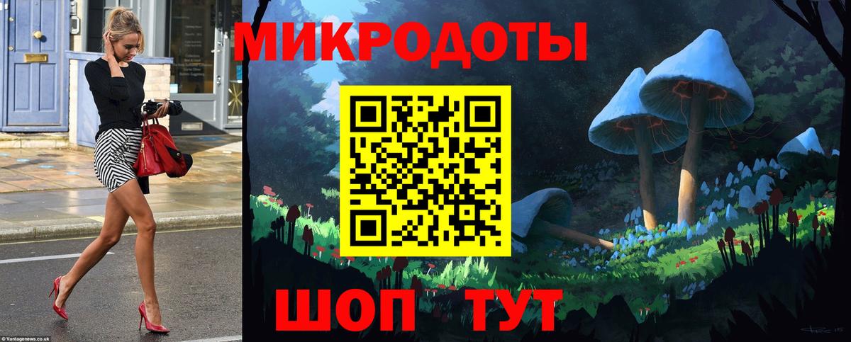 Галлюциногенные грибы MAGIC MUSHROOMS  Галлюциногенные грибы Psilocybine cubensis  Зеленогорск  купить закладку  Вход с VPN 